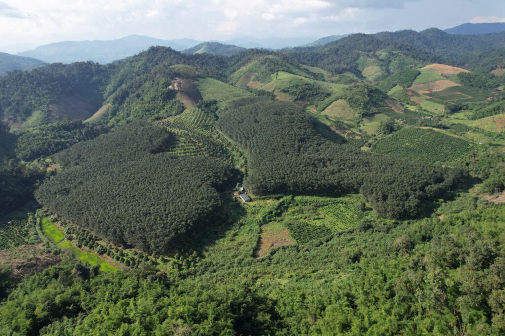 quỹ đất nông nghiệp kon tum